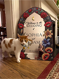 Sophie